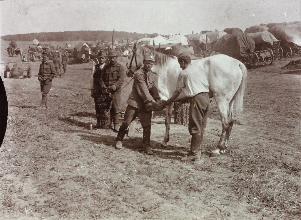 Повсякденне табірне життя військових 27-го, 3-го, 4-го та 67-го полків. Галичина, 1917 р. ÖNB Schalek Alice