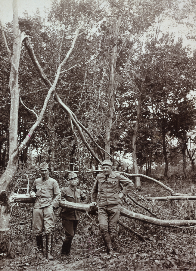 Троє гонведів на позиції у галицькому лісі. Дерево, можливо, зламано обстрілом. Галичина, 1917 р. ÖNB Schalek Alice