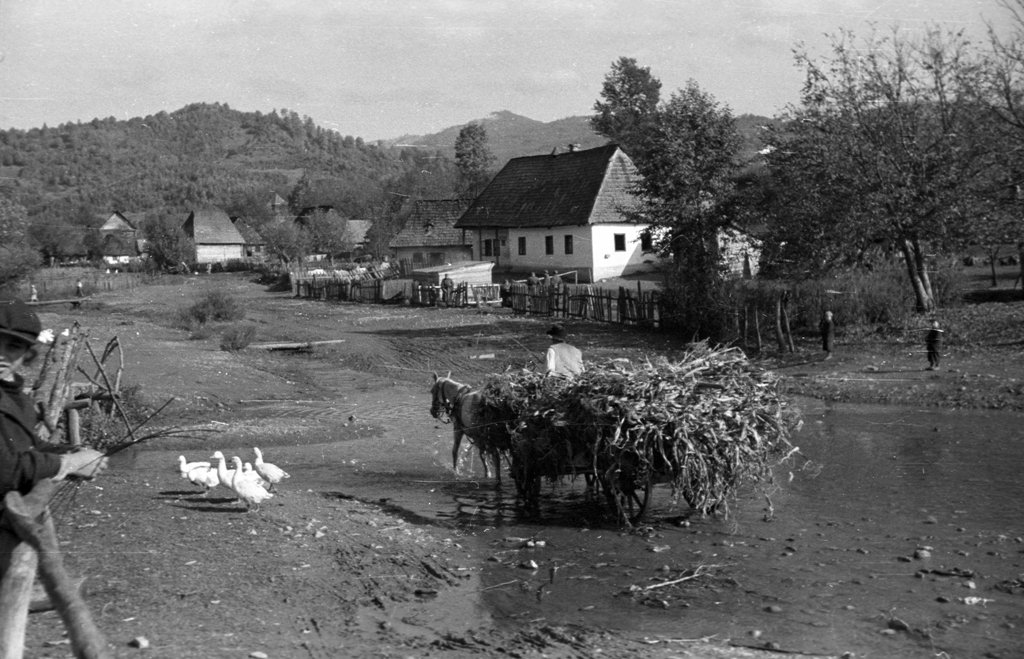 У селі на Закарпатті, 1939 р. Berkó Pál, 78491 Fortepan, Budapest