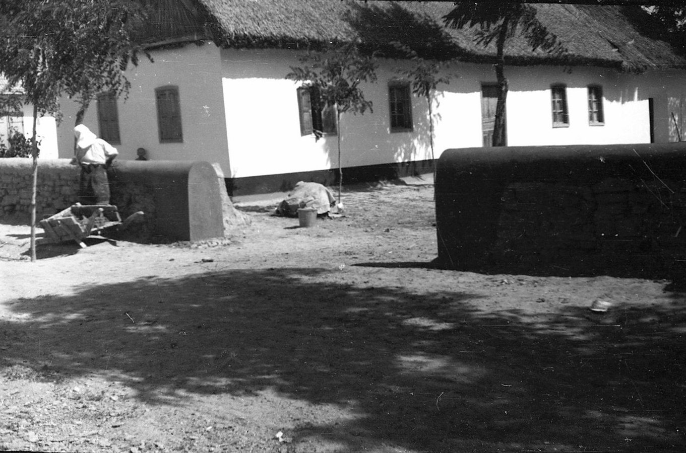 006_РЭМ 8954-81