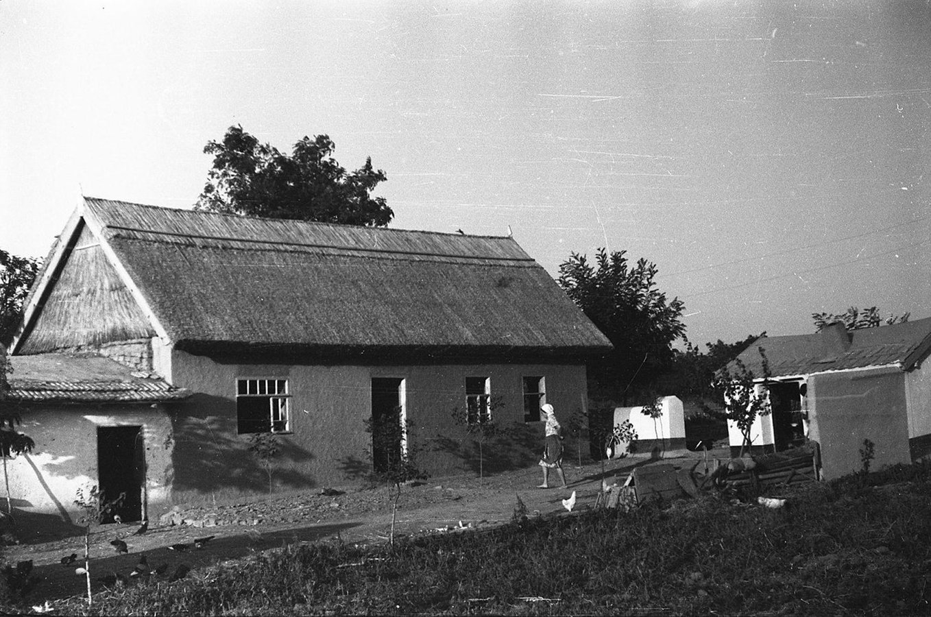 008_РЭМ 8954-69