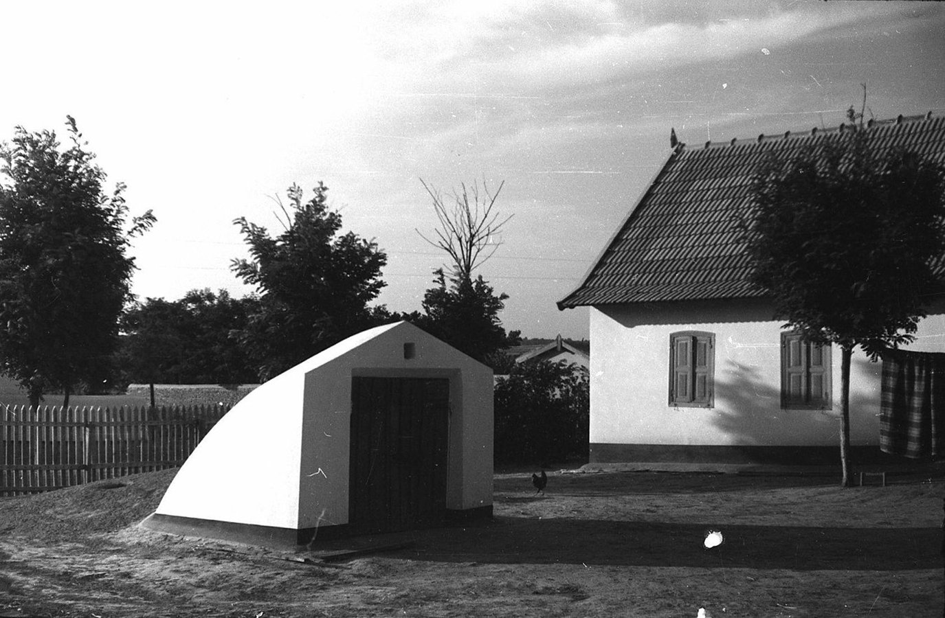 009_РЭМ 8954-70