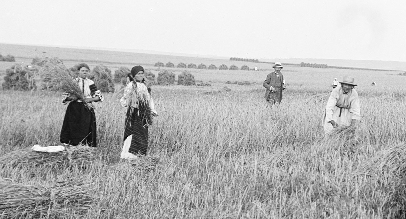 023_Żniwa w Boryszkowcach na Zachodnim Podolu V-2404_ЛІ_деталь