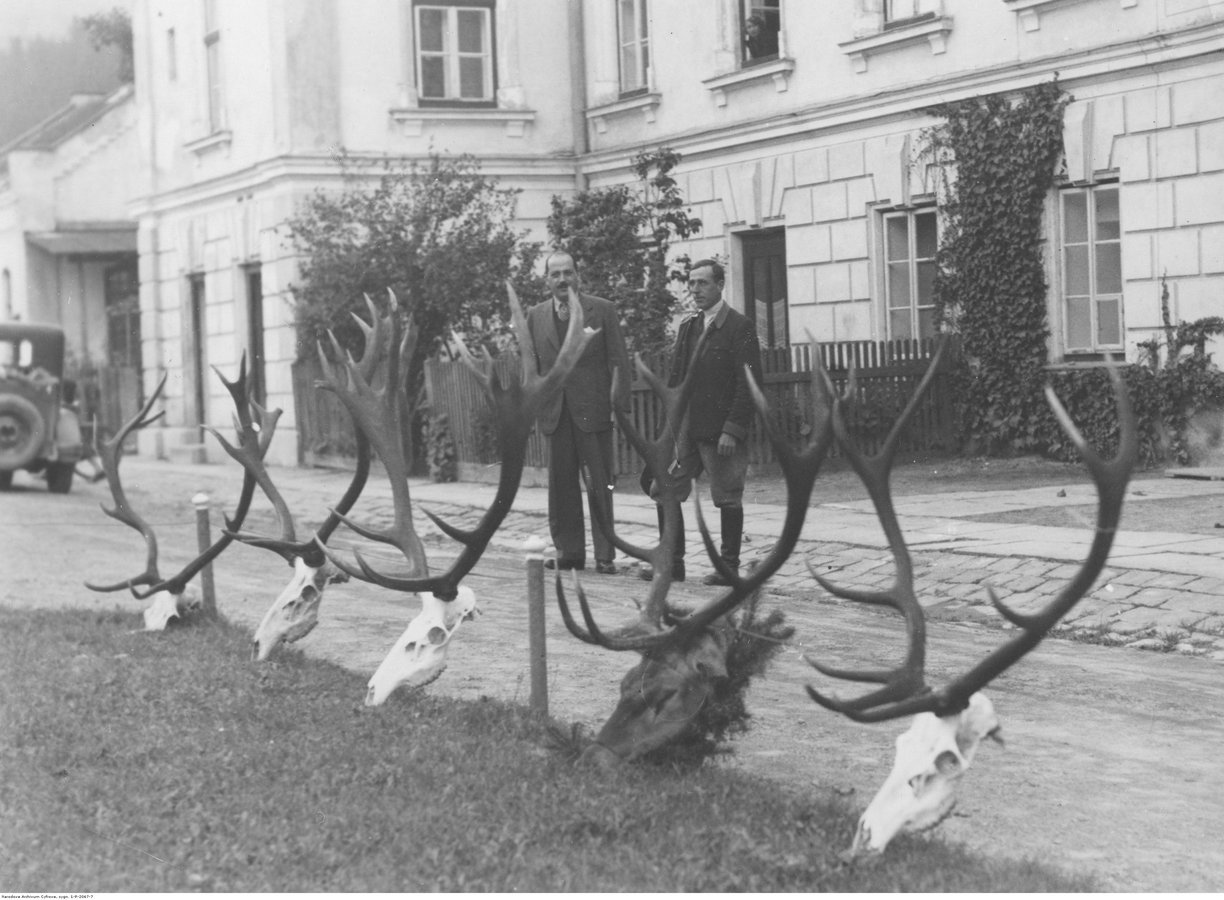 1937Dyrektor majątku Skolem Geza Roboz przy trofeach myśliwskich przed pałacem.