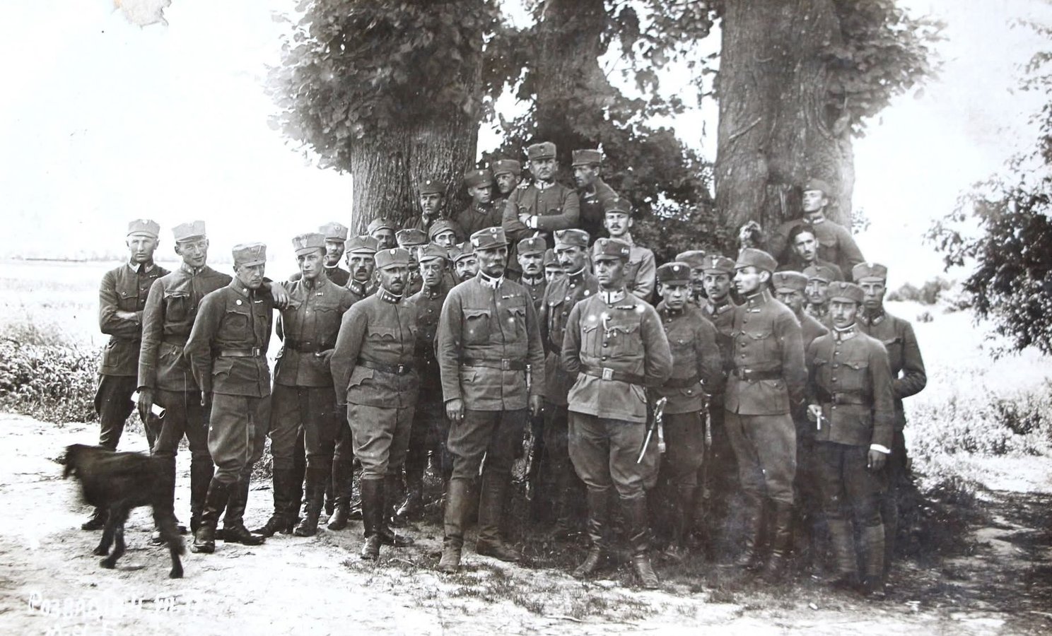 590640052_122271926144219637_6782657415315200938_n