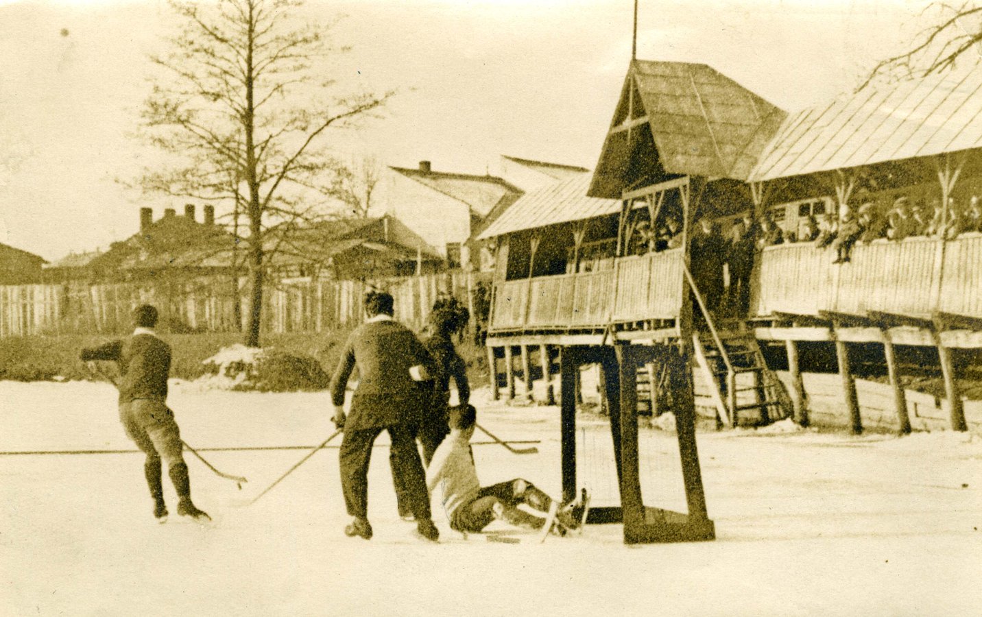 Гокей Львів