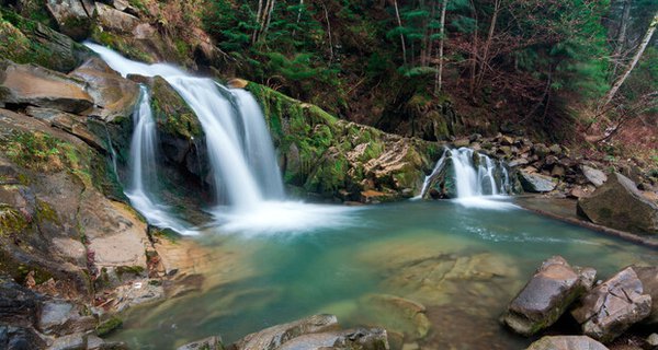ArticleImage_27065.jpg