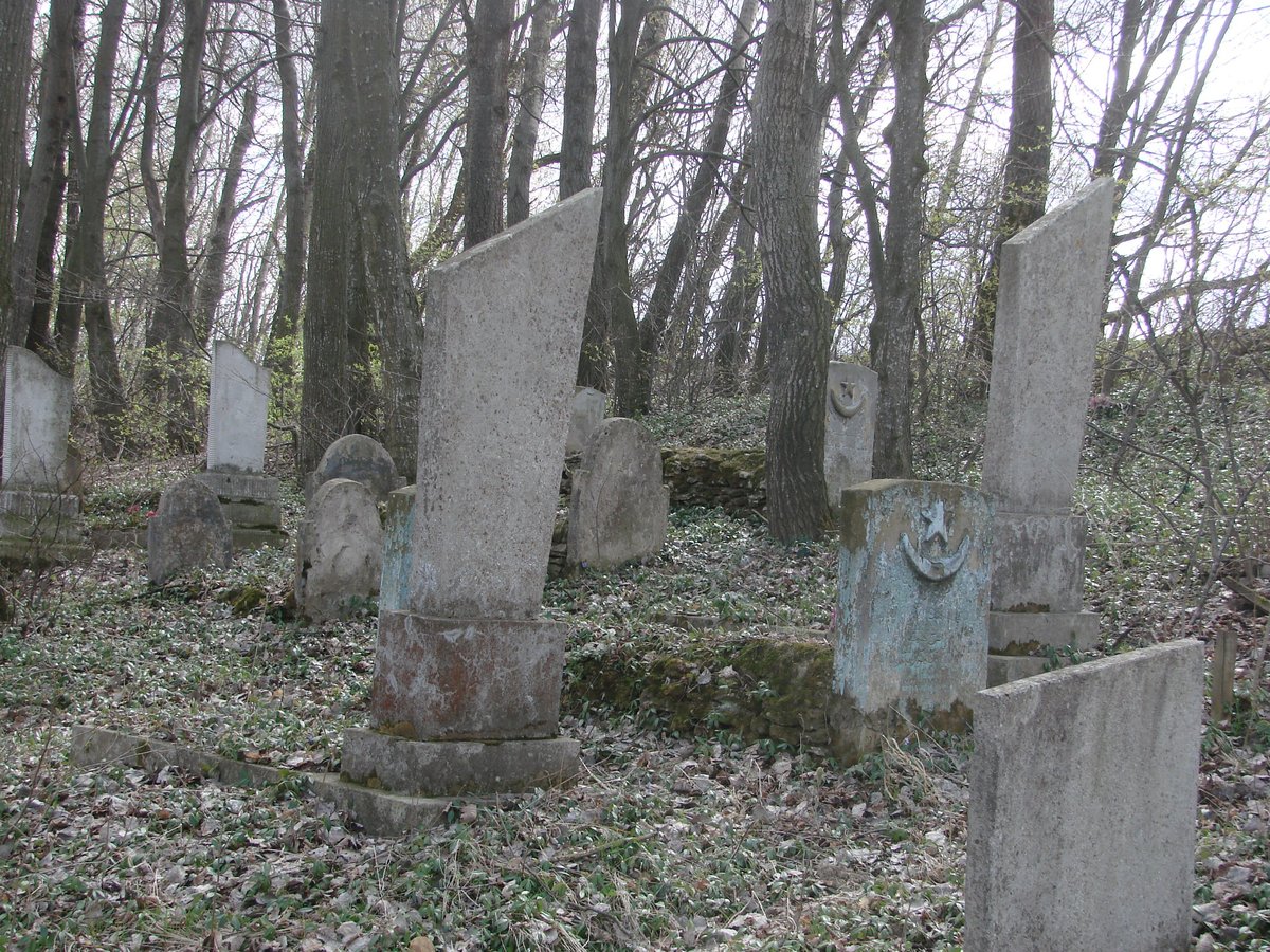9. Татарський цвинтар (мізарлик) в с. Ювківці