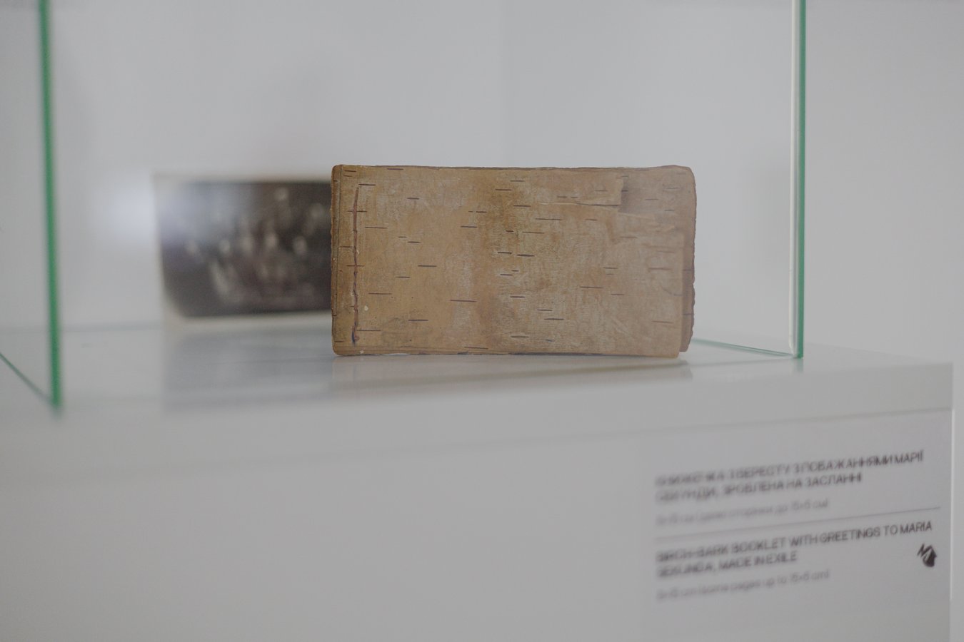 Берестяна книжечка з побажаннями від подруг (1)