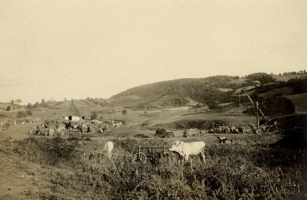 Добування ропи у селі Шандрово (Олександрівка), початок 1900-х років. Архів Хведора Вовка, ІА НАН України