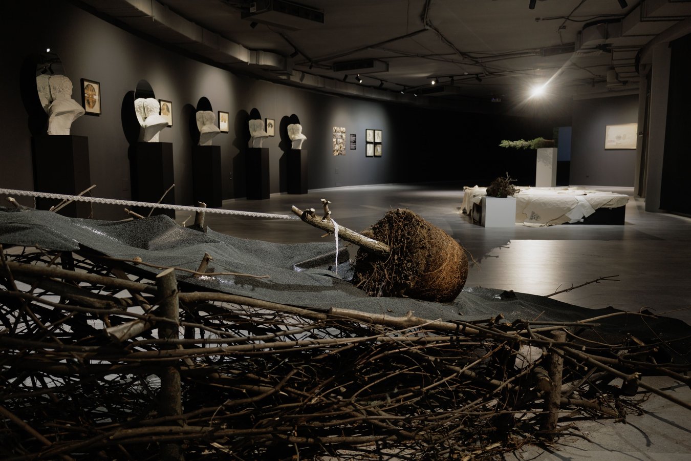 Фрагмент експозиції артпроєкту «Цивілізація» (3) (1)