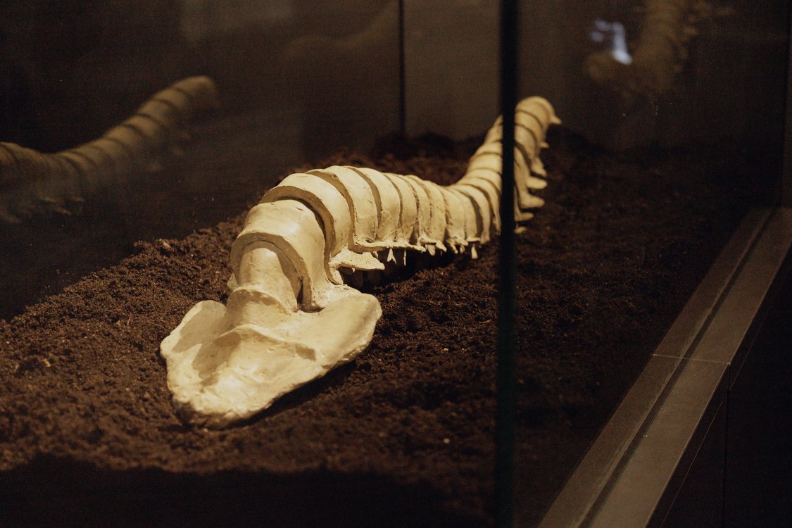 Галина Дудар _Те, що тримає_, 2025 (1)