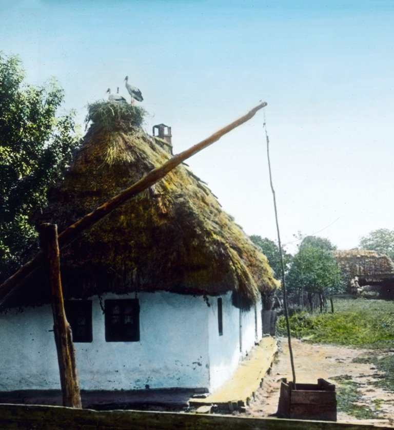Хата, колодязь та лелеки у селищі Воловець, 1919 р