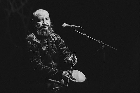 Марко Галаневич 600