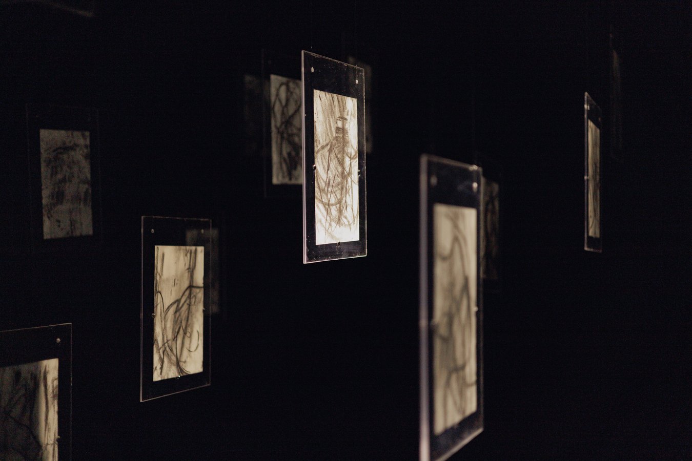 Міла Чепрасова серія «Вимушене співавторство», 2025