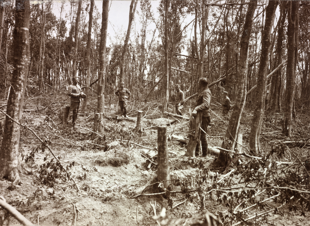 Під час роботи у лісі, вирубка дерев для покращення поля вогню, Галичина, 1917 р. ÖNB Schalek Alice