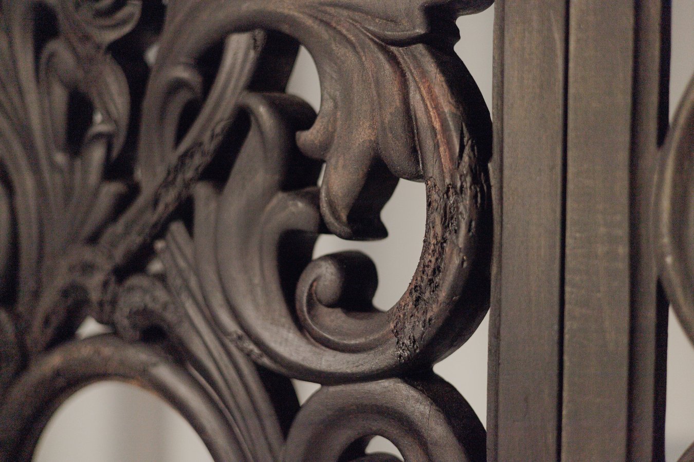 Поліна Щербина _Райська брама_, 2024-2025 (5)