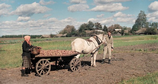 Shvedchina,_Ukraine_Шведчина_-_panoramio_(9)