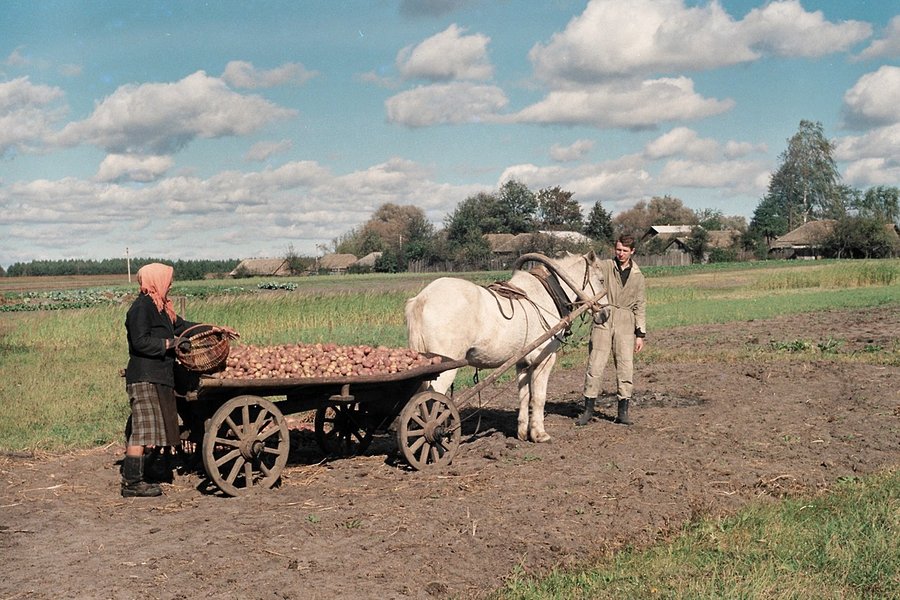 Shvedchina,_Ukraine_Шведчина_-_panoramio_(9)