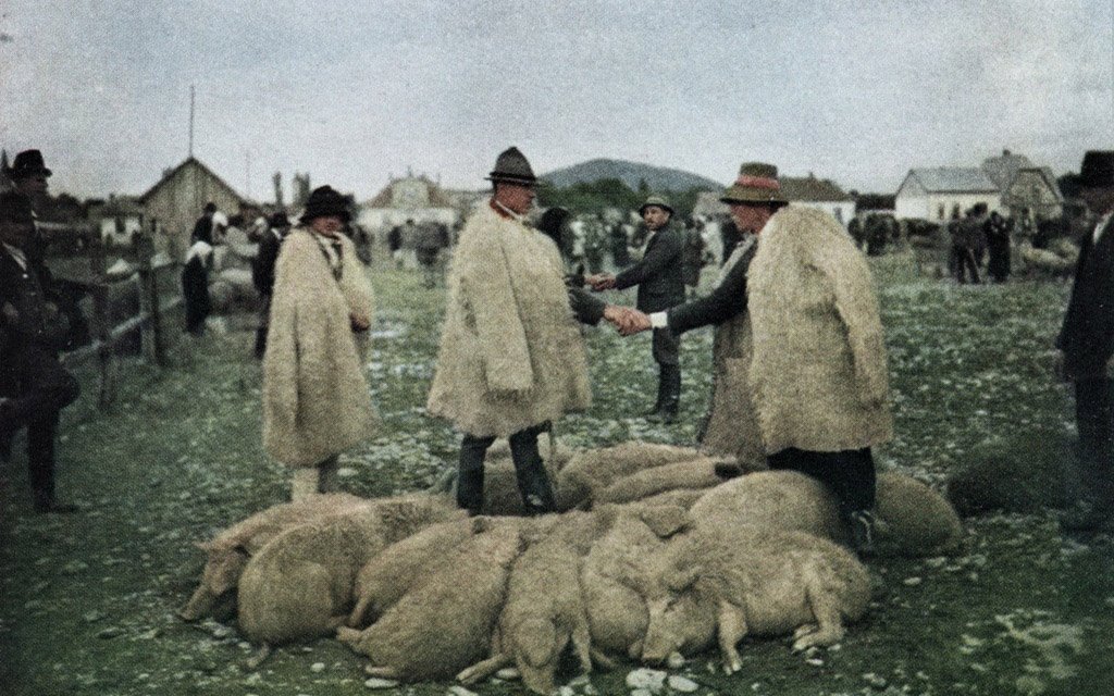 Торгівля мангалицями у Мукачеві на ринку худоби. Hans Hildenbrand, ’’The National Geographic Magazine’’ Vol. 51. No. 6., 1927 р.