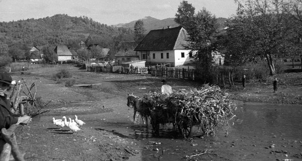 U_seli_na_Zakarpatti_1939_r._Berko_Pal_78491.max-800x600
