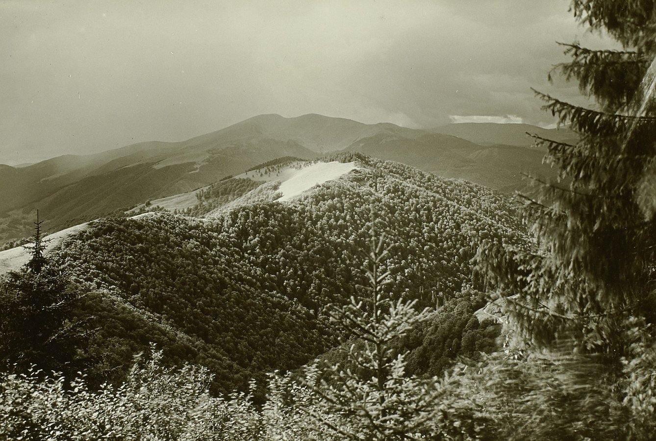 Вид на гори Менчул, Шешул та Близниця на Рахівщині, 1934 рік. Walter Möbius, df_m_0003336 SLUB Deutsche Fotothek