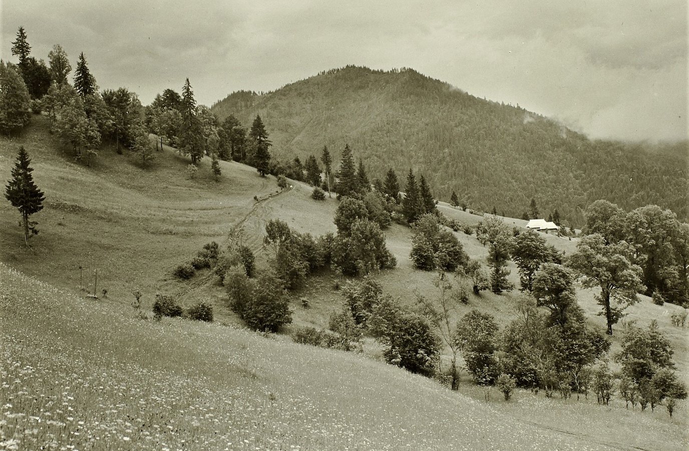 Вид на гору Менчул. Рахівщина, 1934 рік