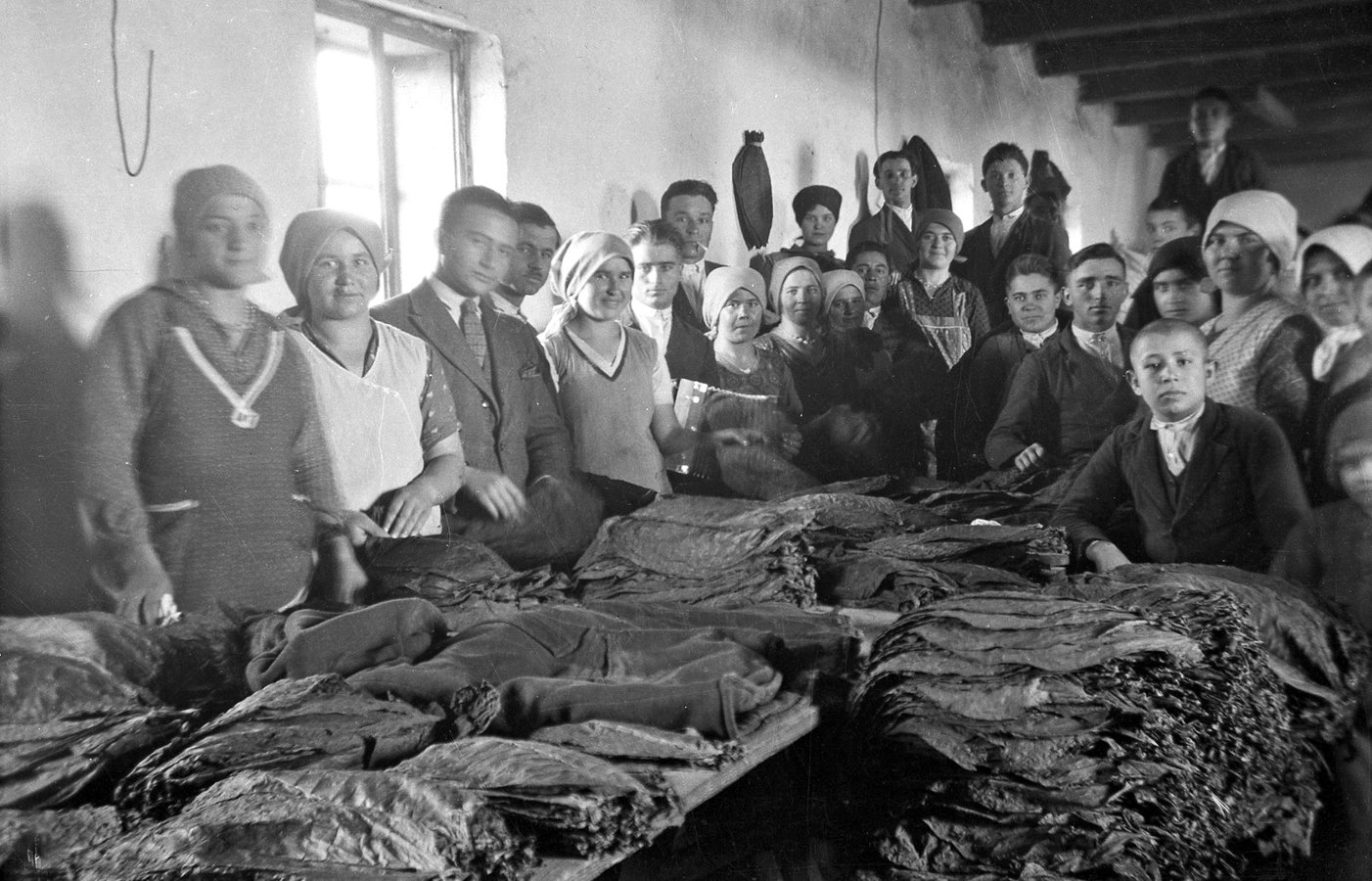Закарпатські угорці за сортуванням листя тютюну, 1938 р. Török Sándor. Архів Török Éva