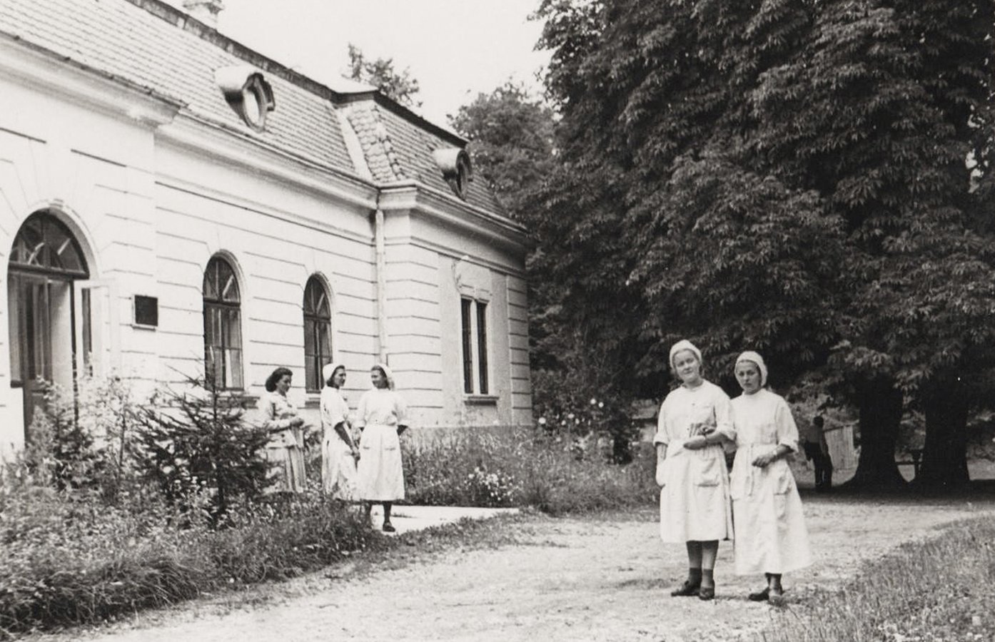 конюшня-лікарня_new-new