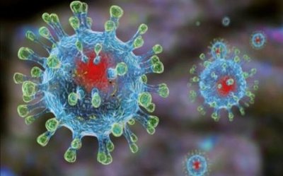 koronavirus-450x281.jpg