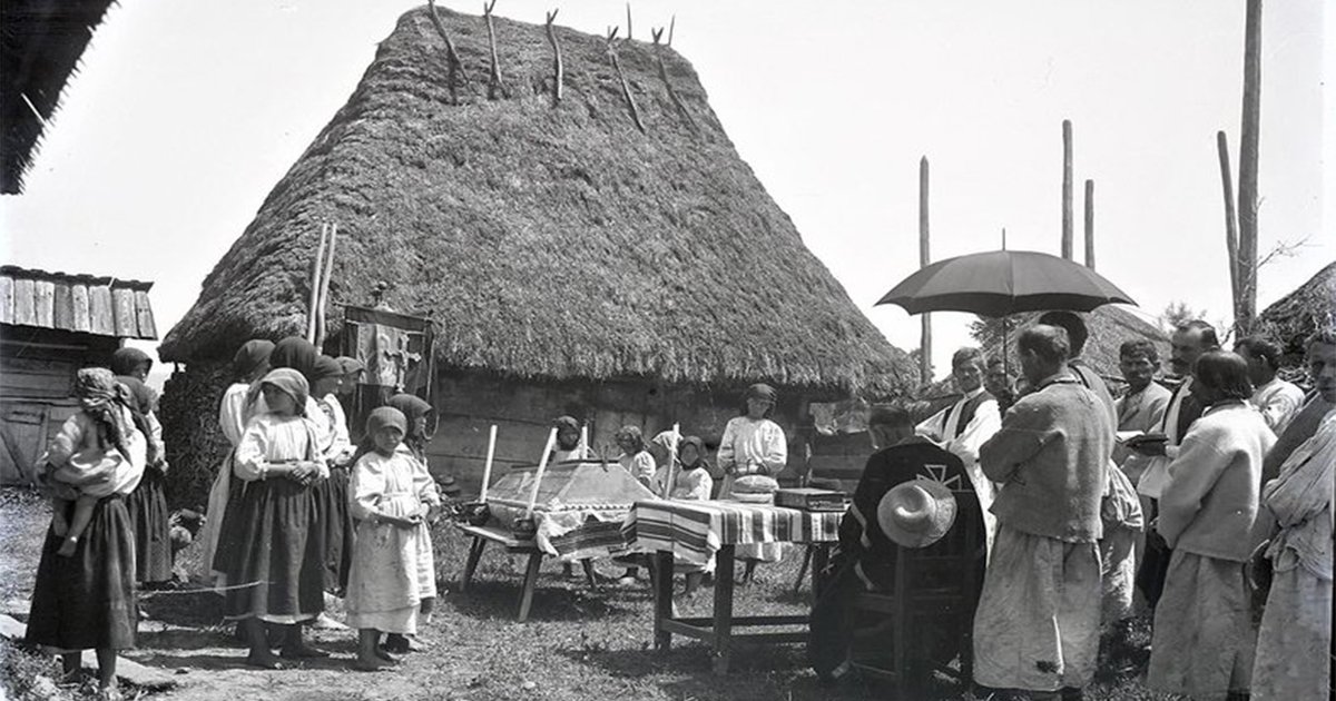 Дикті қатты сорады Жетілген қалың түкті