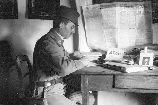 сео стрільці