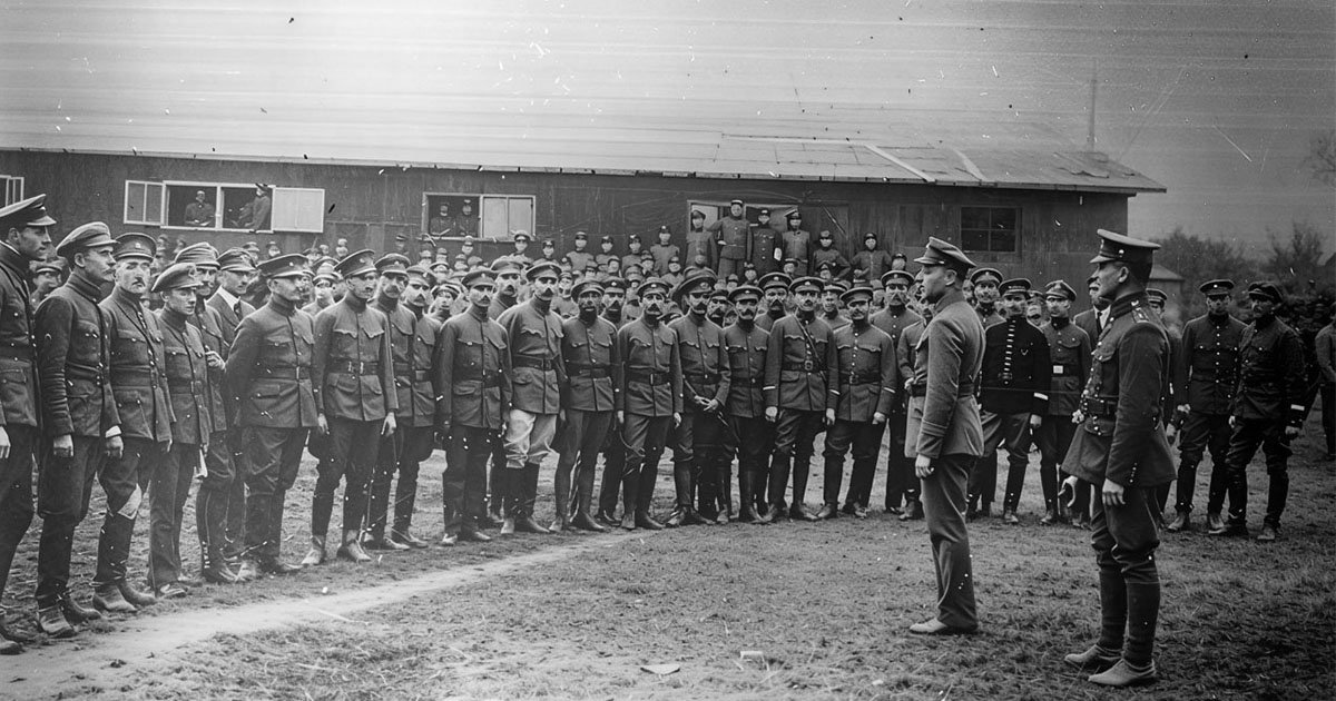 стефанів сео